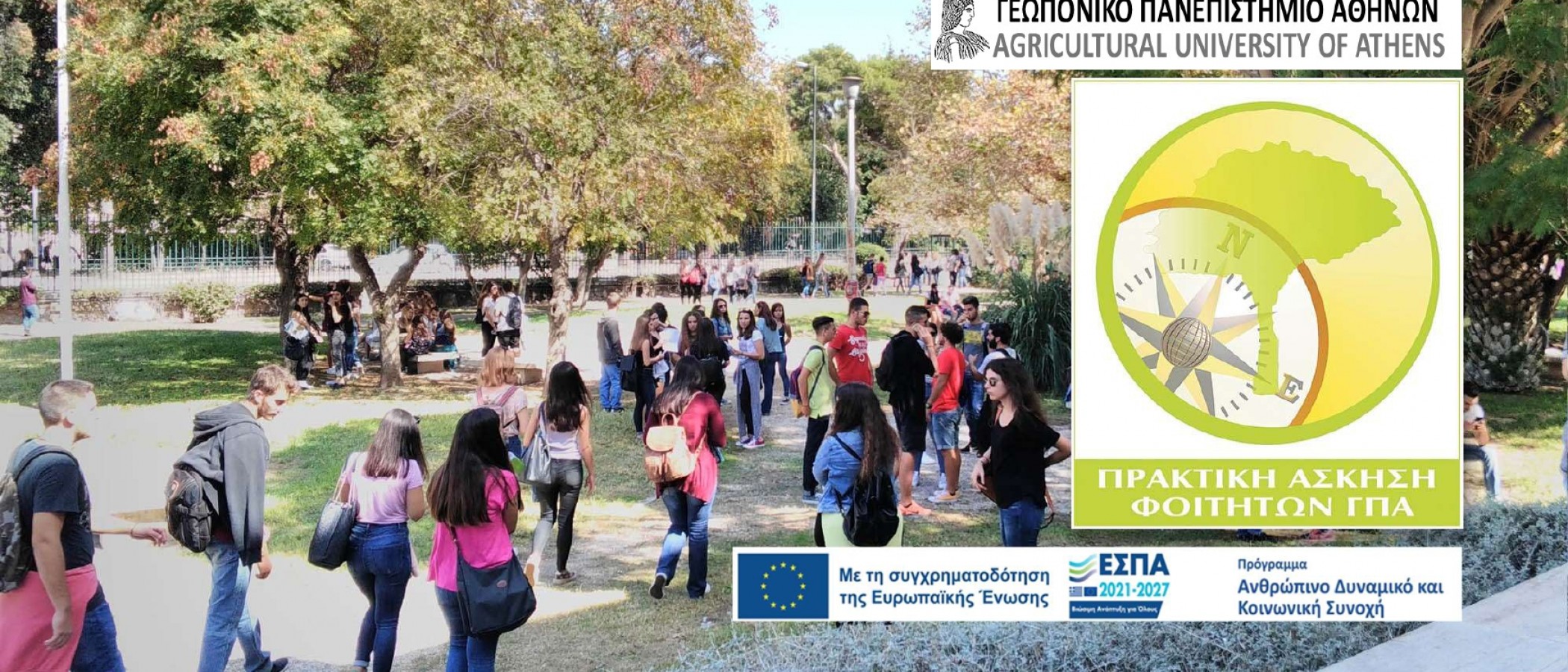 Internship for the Students of the 6th & 8th semester funded by ESF (European Social Fund) ESPA