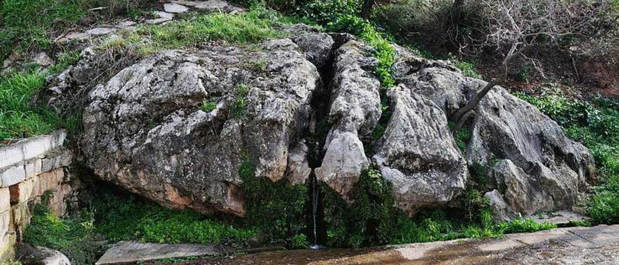 Εκδρομή 66η: Όρος Χλωμό 1079μ