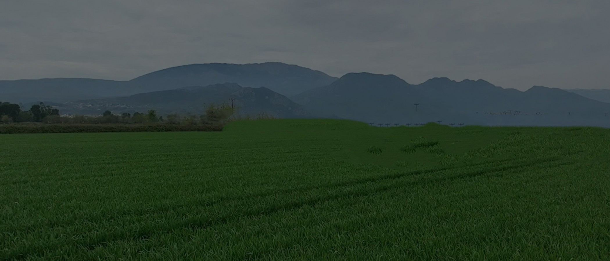  Ημερίδα Έργου AGROSENSE - Καινοτόμες Tεχνολογίες για Bιώσιμη Γεωργία