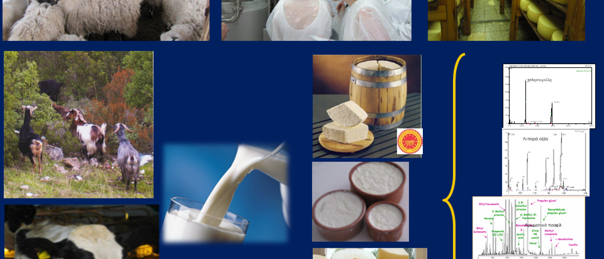 Δ.Π.Μ.Σ. ''Ολοκληρωμένη Διαχείριση Παραγωγής Γάλακτος και Γαλακτοκομικών Προϊόντων"