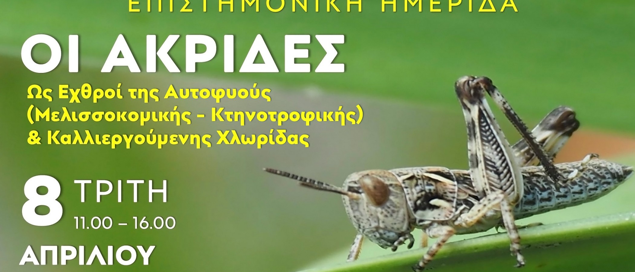 Scientific Symposium on Locusts as Pests of Native and Cultivated Flora 