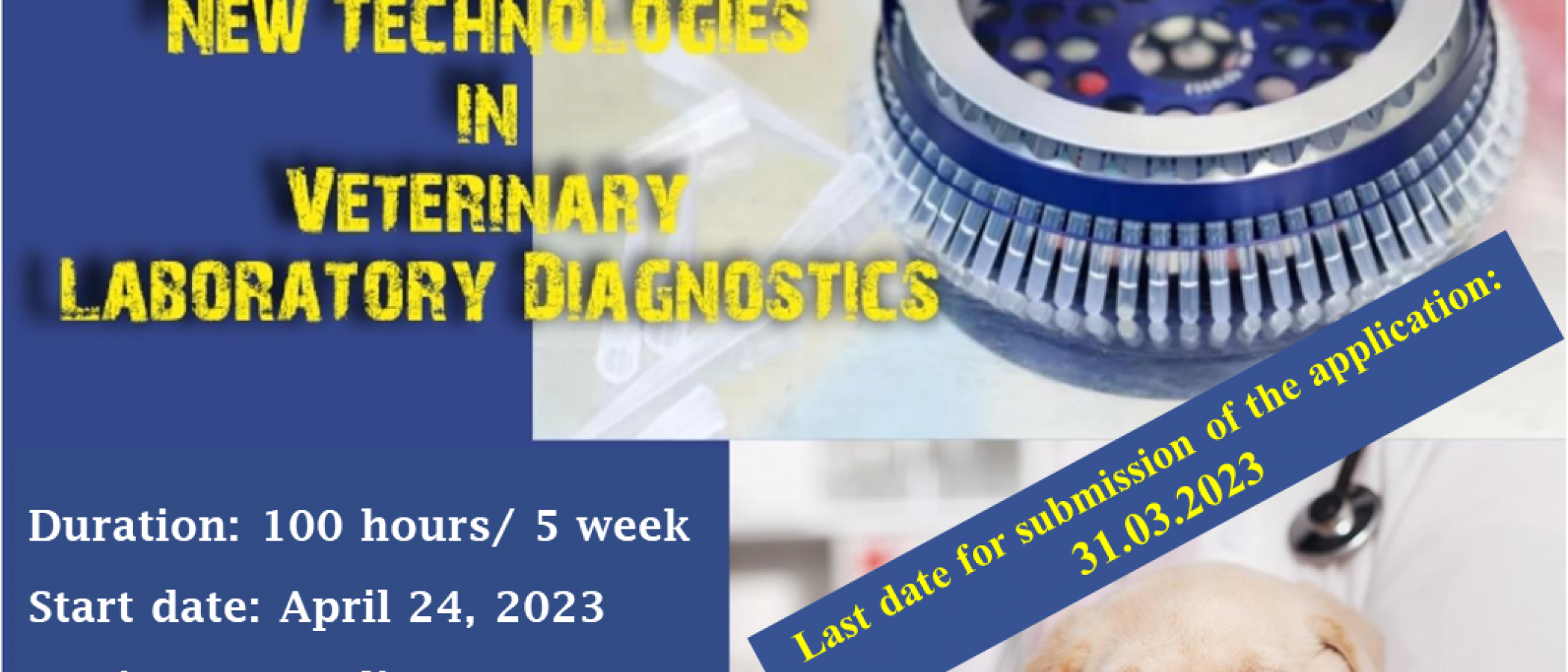 New Technologies in Veterinary Laboratory Diagnostics