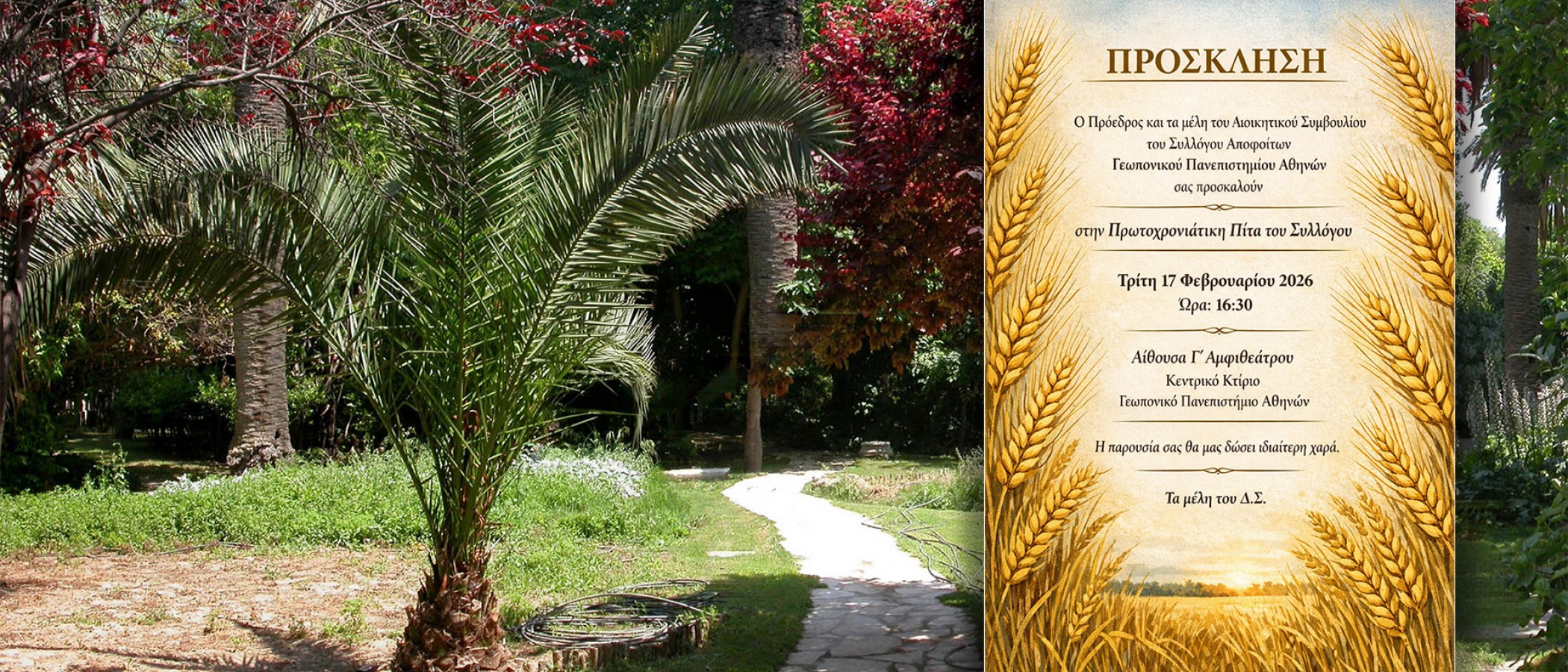 Κοπή πίτας του Συλλόγου Αποφοίτων