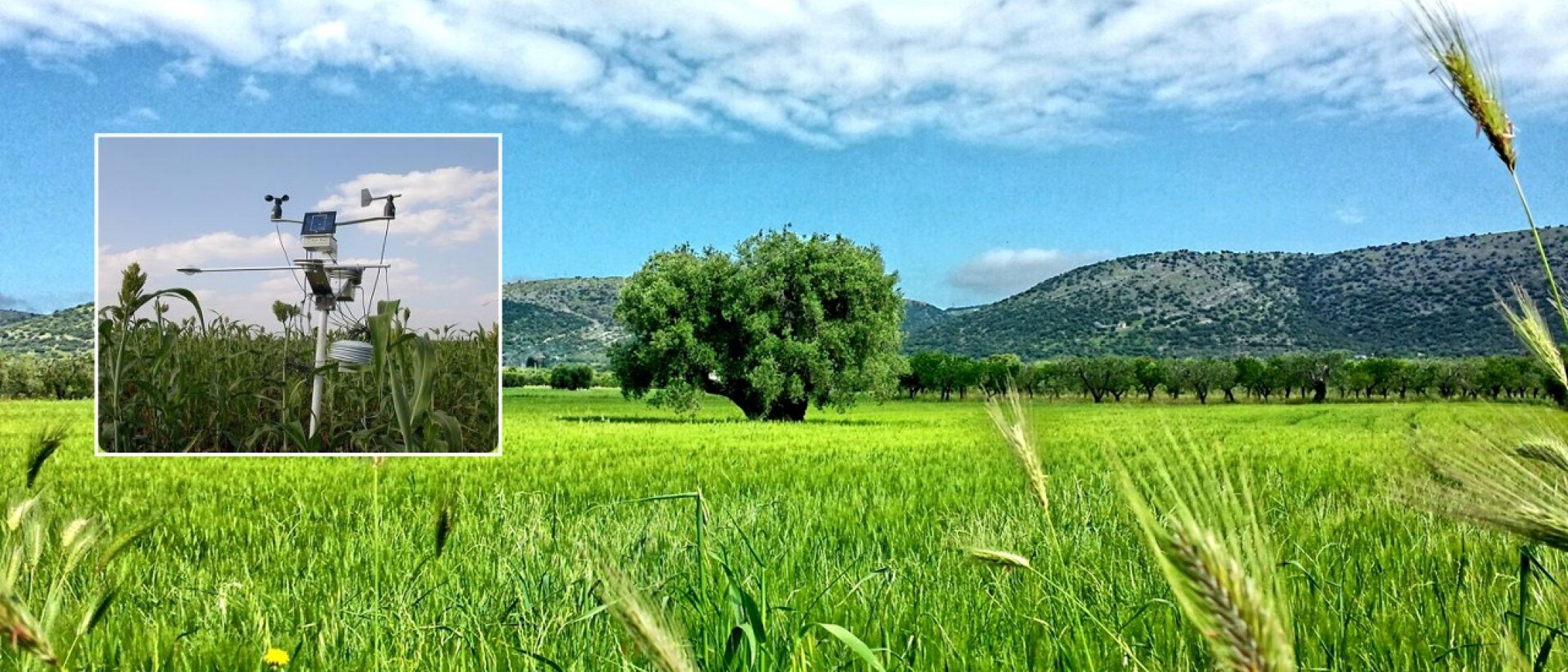 Επαναπροκήρυξη Π.Μ.Σ. Καινοτόμες Εφαρμογές στην Αειφορική Γεωργία, στη Βελτίωση Φυτών και στην Αγρομετεωρολογία