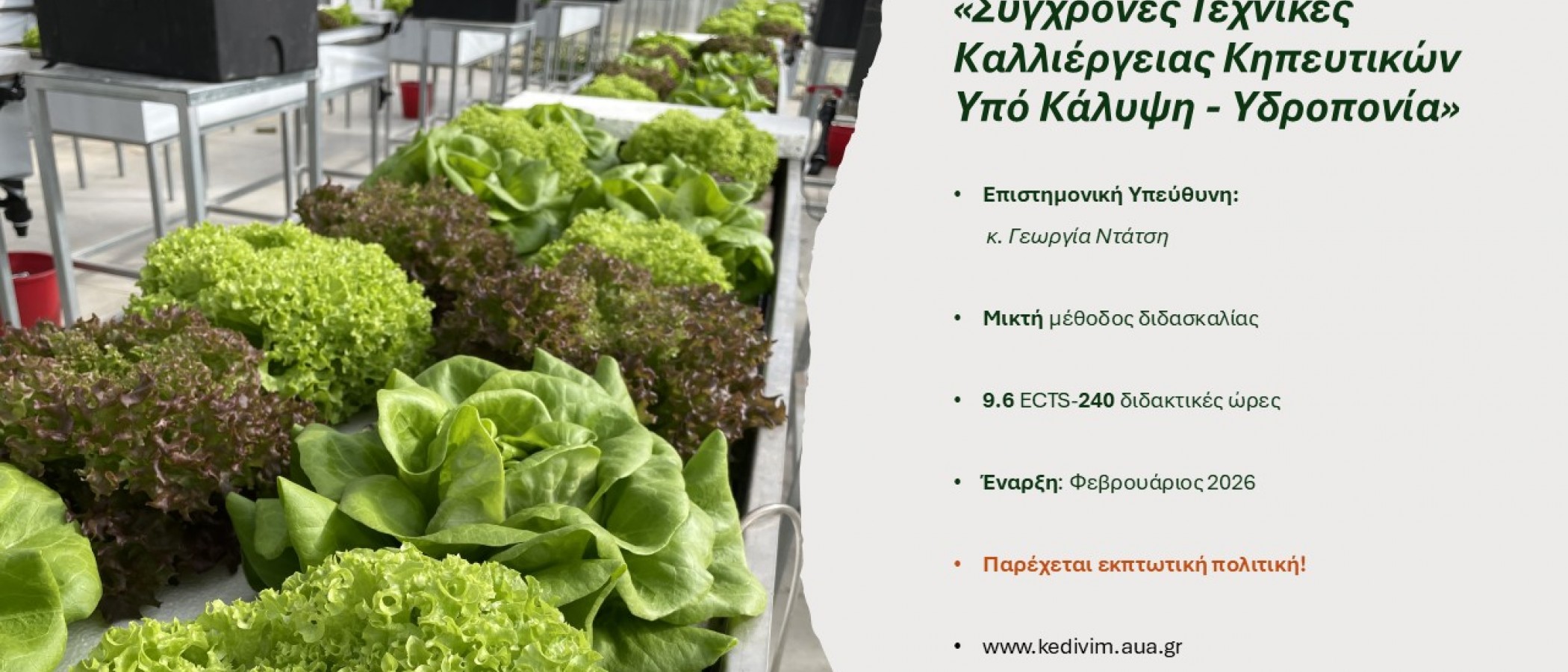 ΕΚΠΑΙΔΕΥΤΙΚΟ ΠΡΟΓΡΑΜΜΑ "Σύγχρονες Τεχνικές Καλλιέργειας Κηπευτικών Υπό Κάλυψη - Υδροπονία”