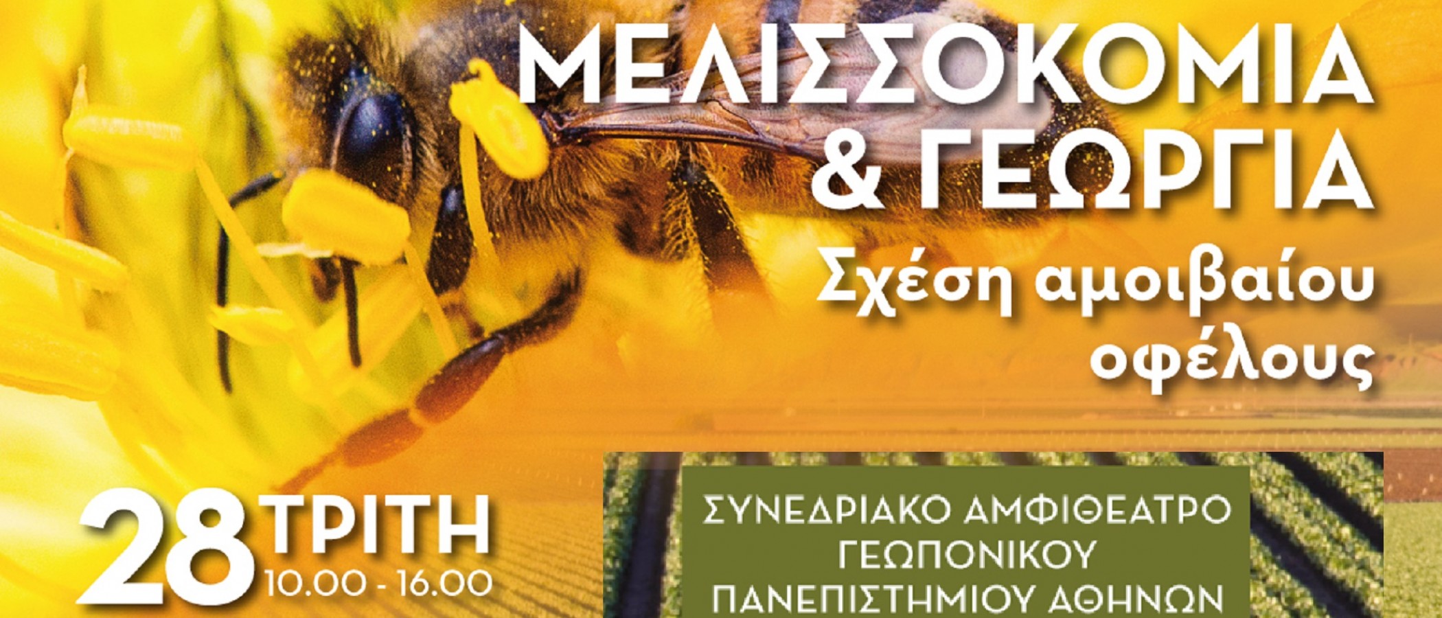 Μελισσοκομία και Γεωργία: Σχέση αμοιβαίου οφέλους"