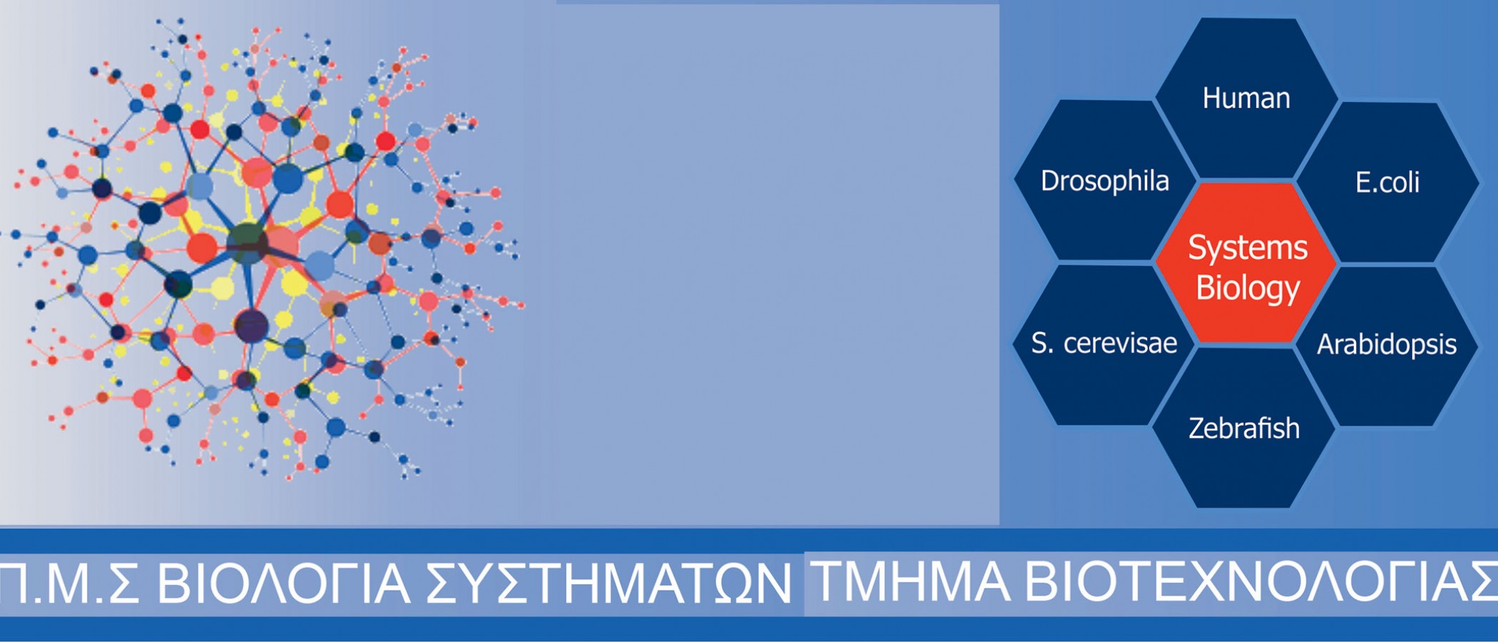 Postgraduate program entitled “Systems Biology”