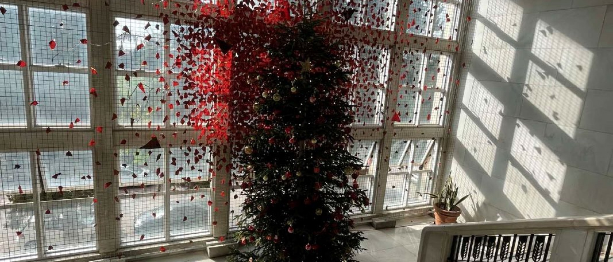 Festive Event for the Christmas Tree Decoration.